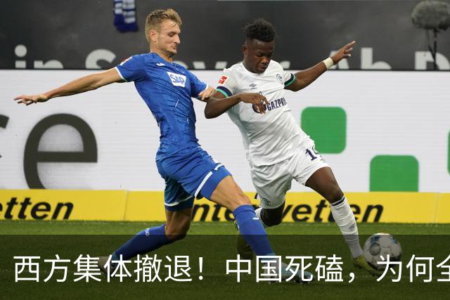西方集体撤退！中国死磕，为何全世界就我国在拼命搞核聚变？